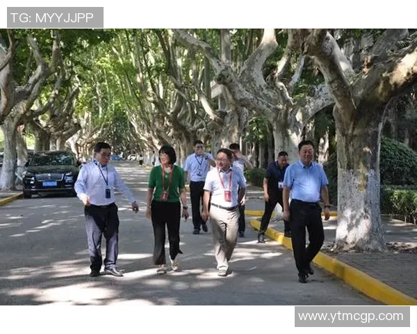 西安攀岩队配合问题引发热议队员间默契与信任的考验